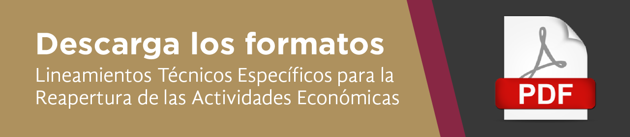 Lineamientos técnicos específicos para la reapertura de las actividades economicas