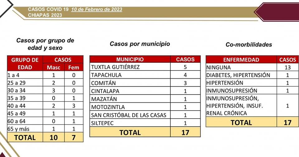 17 casos nuevos de COVID-19 en ocho municipios de Chiapas.jpg