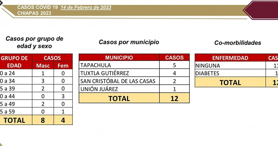 Se registran 12 casos nuevos de COVID-19 en Chiapas.jpg