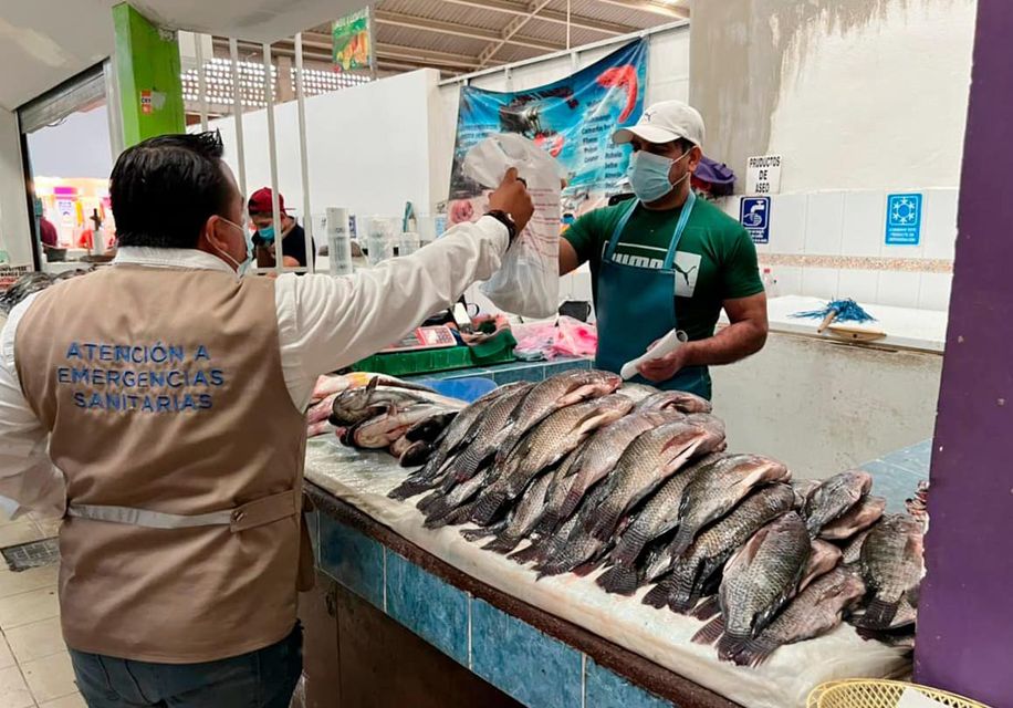 Ante inicio de Cuaresma, se prepara operativo de vigilancia sanitaria para el consumo de productos del mar.jpg