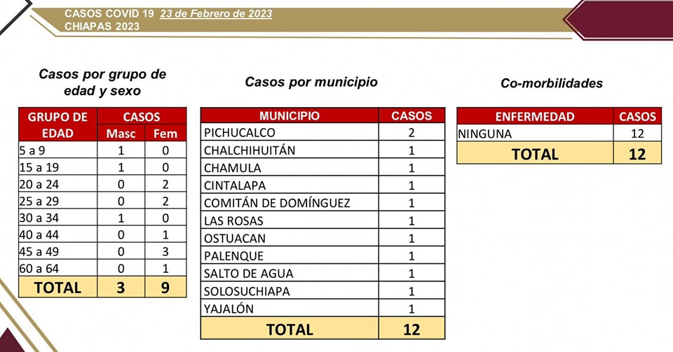 12 casos nuevos de COVID-19 en Chiapas.jpg