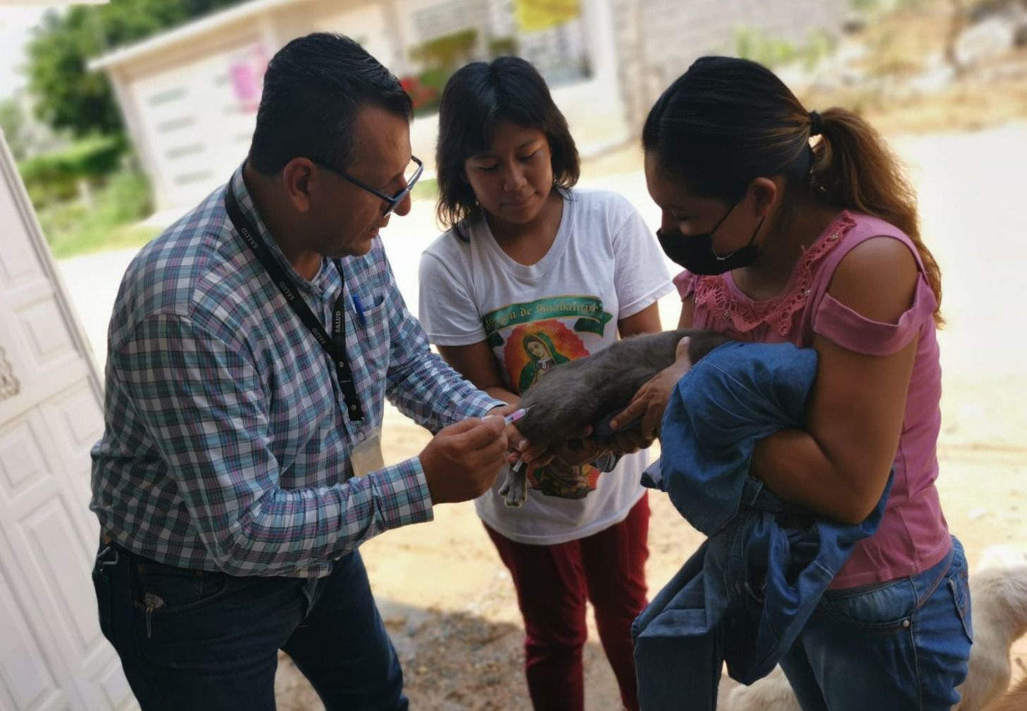 Cobertura de vacunación mantiene a Chiapas sin casos de rabia.jpg